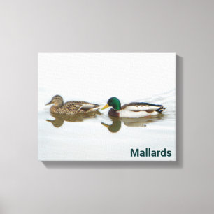 Mallards Canvas Print