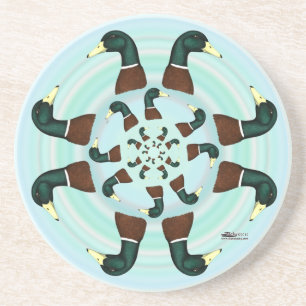 Mallards Galore! Coaster
