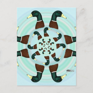 Mallards Galore! Postcard