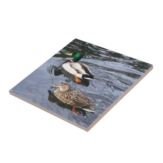 Mallards Tile