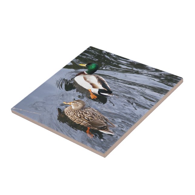 Mallards Tile (Side)