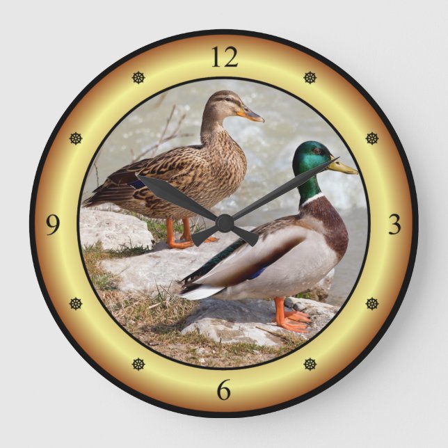 Mallards ~ Wild Ducks ~ Anas platyrhynchos ~   Large Clock (Front)