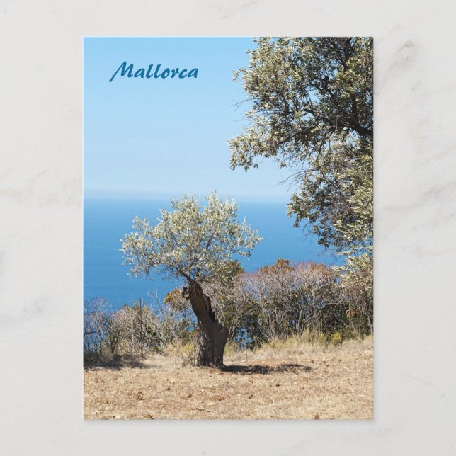 Mallorca Postcard (Front)