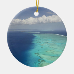 Malolo Barrier Reef off Malolo Island, Fiji Ceramic Tree Decoration