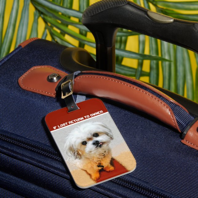 Malshi Dog Luggage Tag (Front Insitu 1)