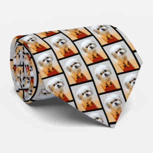 Malshi Dog Neck Tie