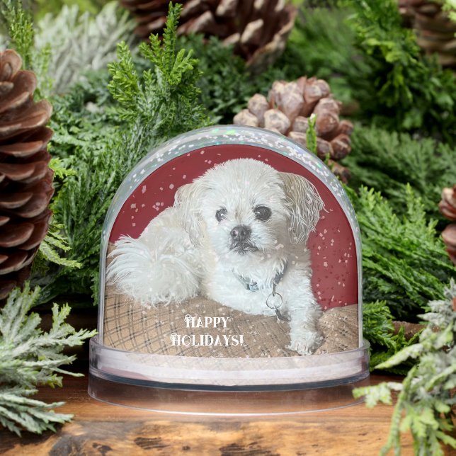 Malshi dog snowglobe (Winter)
