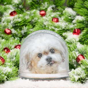 Malshi Snow Globe
