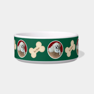 Malshi With Bone Green Pet Bowl