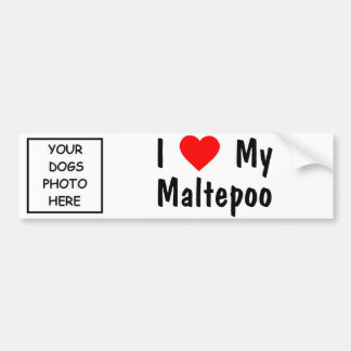 Maltepoo Bumper Sticker