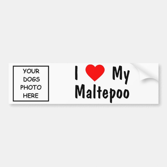Maltepoo Bumper Sticker (Front)