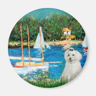 MALTESE 10 - Sailboats Magnet