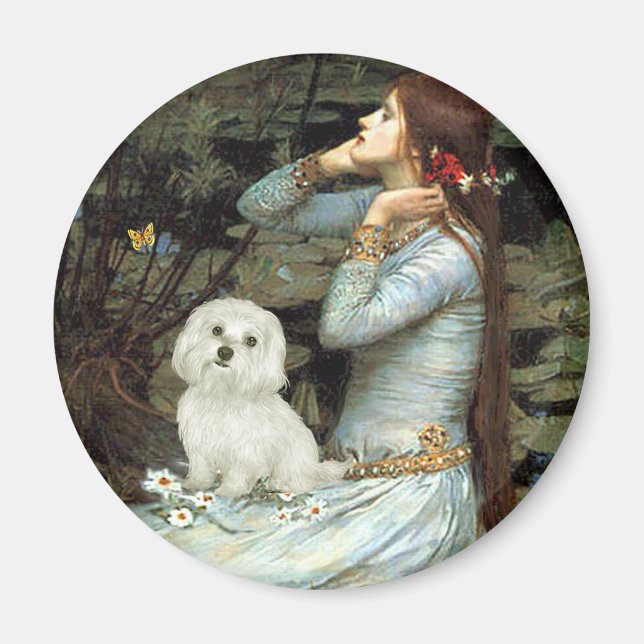 Maltese 11 - Ophelia Seated Magnet (Front)