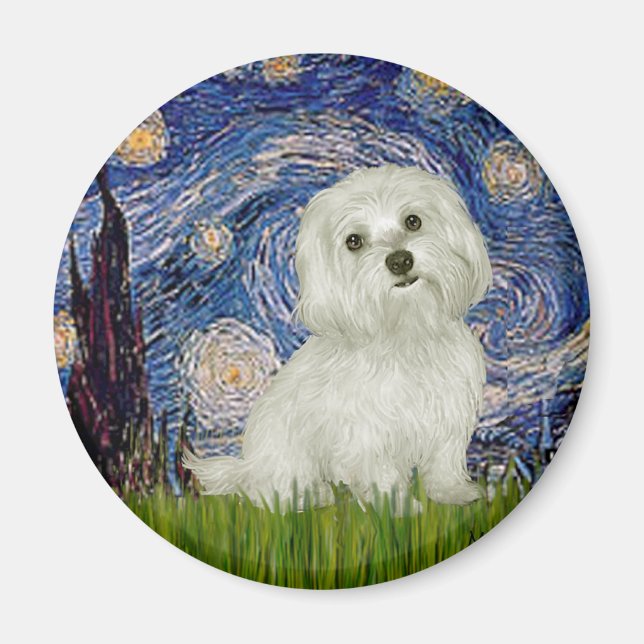 Maltese 11 - Starry Night Magnet (Front)