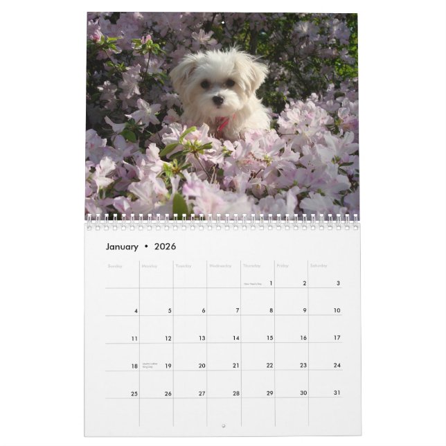 Maltese 2010 calendar (Jan 2026)