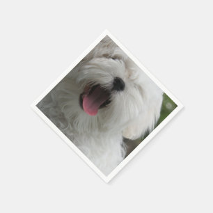 maltese-2 napkin