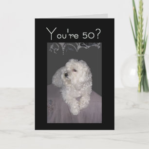 Maltese 50th Birthday Card for Anyone