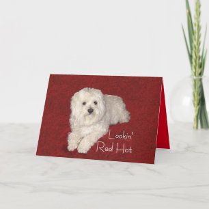 Maltese 60th Birthday Greeting Card on Red/White
