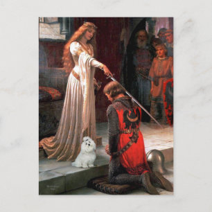 Maltese 6 - The Accolade Postcard