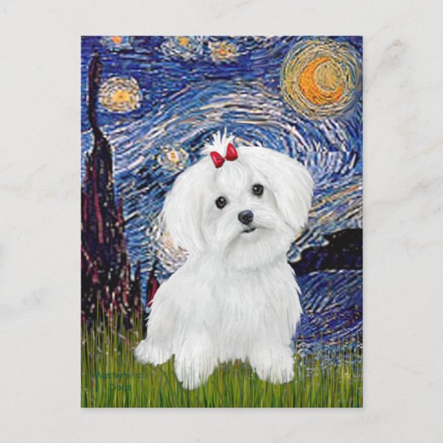 Maltese 8 pup - Starry Night Postcard (Front)