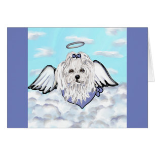 Maltese Angel