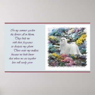 Maltese Art Where Love Grows Poster