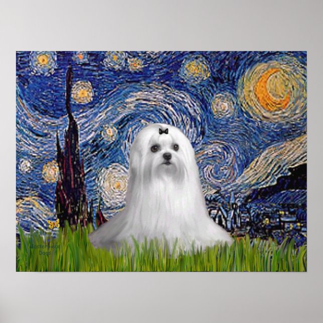 Maltese (C) - Starry Night Poster (Front)