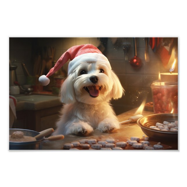 Maltese Christmas Cookies Festive Holiday Photo Print (Front)