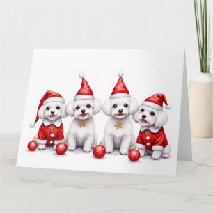 Maltese Christmas Dress Santa Hat Card