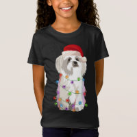 Maltese Christmas Lights Xmas Dog Lover