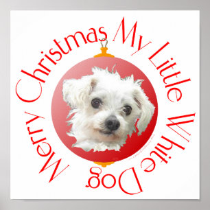Maltese Christmas Little White Dog Poster