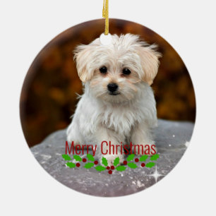 Maltese Christmas Puppy Ceramic Tree Decoration