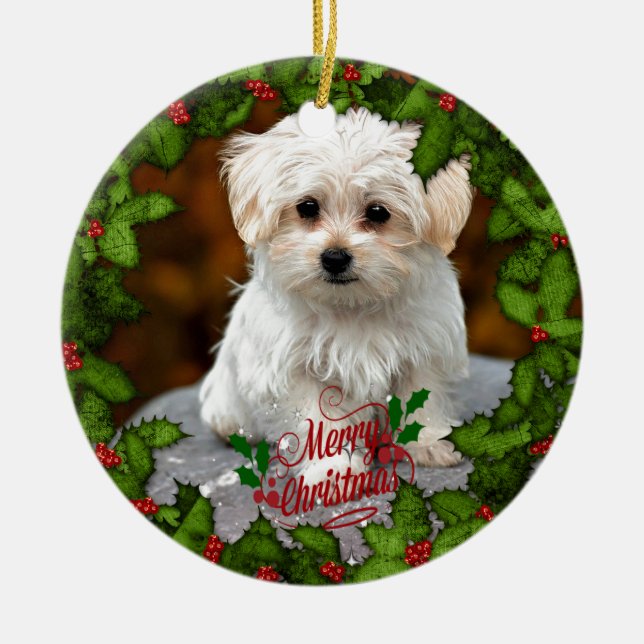Maltese Christmas Puppy  Ceramic Tree Decoration (Front)