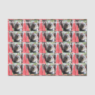 Maltese Christmas with Red Trees Tissue Paper