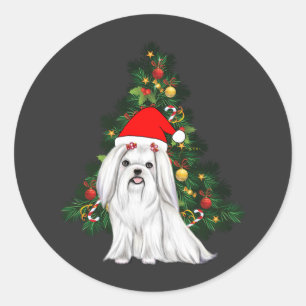 Maltese Christmas, Xmas Maltese Dog with Santa hat Classic Round Sticker