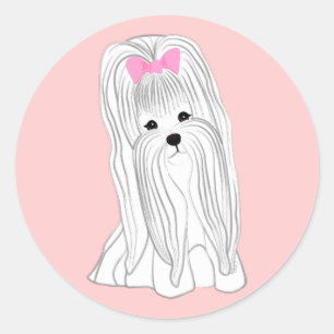 Maltese Classic Round Sticker