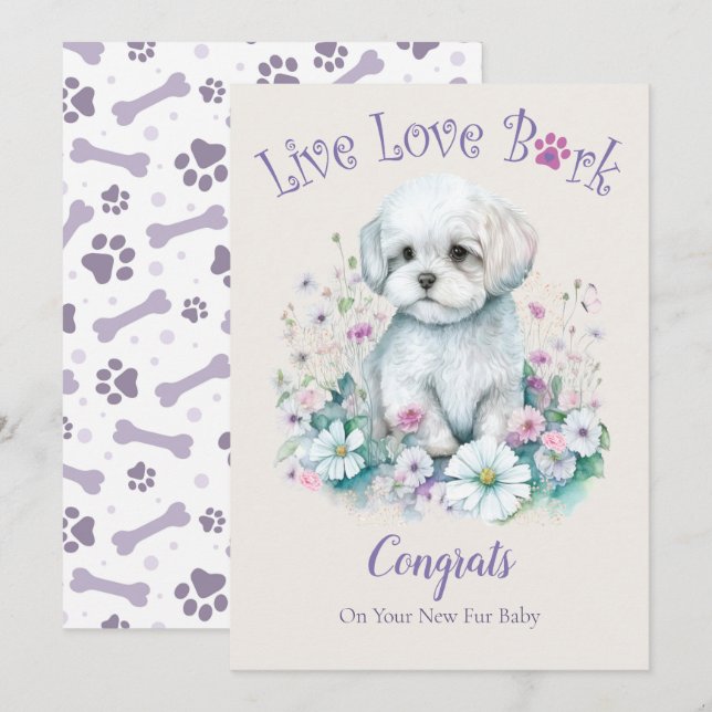 Maltese Dog Adoption, Gotcha Day Card (Front/Back)
