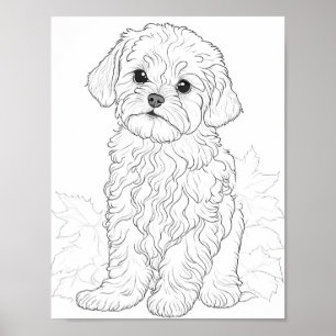 Maltese Dog Adult Colouring Poster