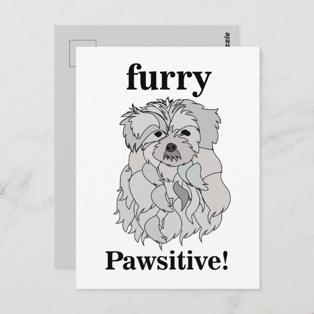 Maltese Dog Animal Pet Funny Postcard (Front/Back)