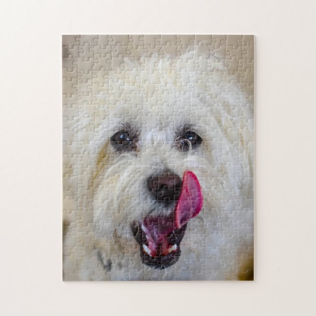 Maltese Dog Breed. Jigsaw Puzzle (Vertical)