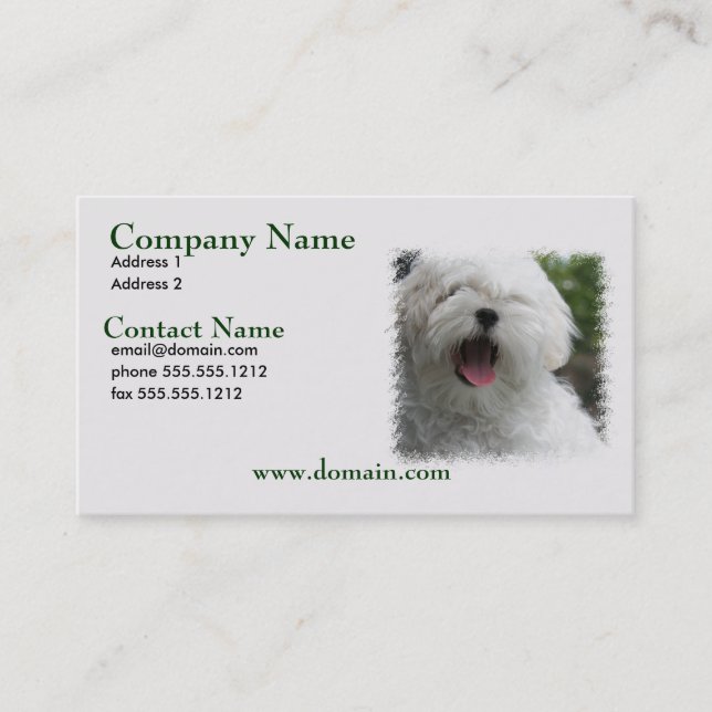 Maltese Dog Busienss Card (Front)