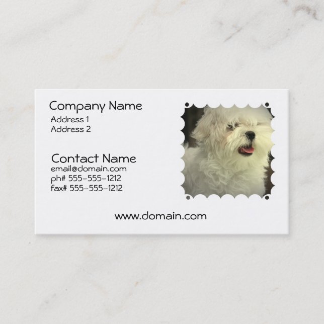 Maltese Dog Business Card (Front)