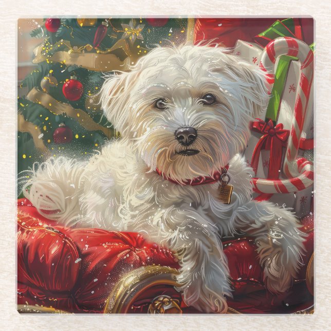 Maltese Dog Christmas Festive Glass Coaster (Front)