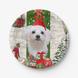 Maltese Dog Christmas Paper Plate