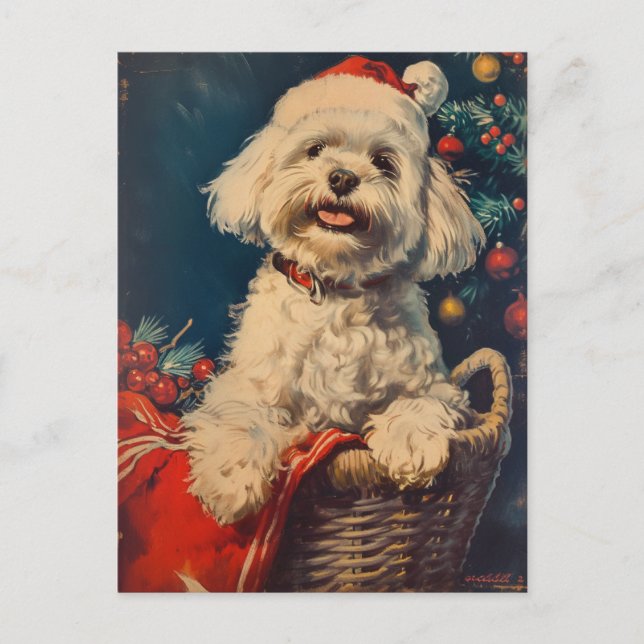Maltese dog Christmas Postcard (Front)