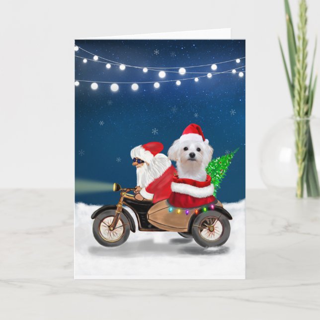 Maltese Dog Christmas Santa Claus Card (Front)