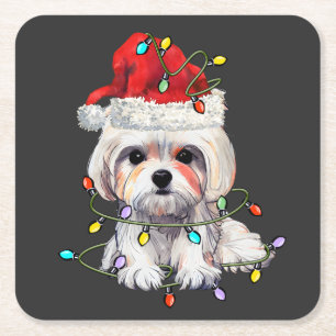 Maltese Dog Christmas, Xmas Maltese Dog Square Paper Coaster