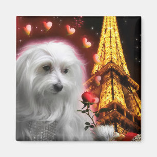 Maltese Dog Eiffel Tower THE SPARK OF LOVE! Magnet