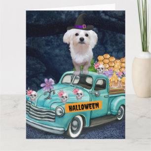 Maltese Dog Halloween Truck Scary Night Card