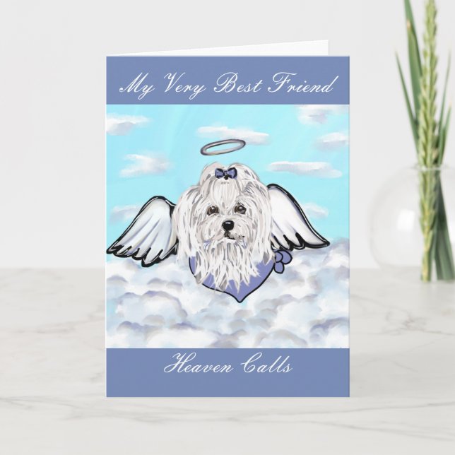 Maltese Dog Holiday Card (Front)